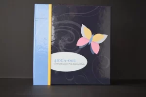 Butterfly-themed binder with study label.