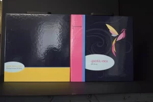 Two decorative boxes with colorful designs.